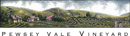 Pewsey Vale Vineyard