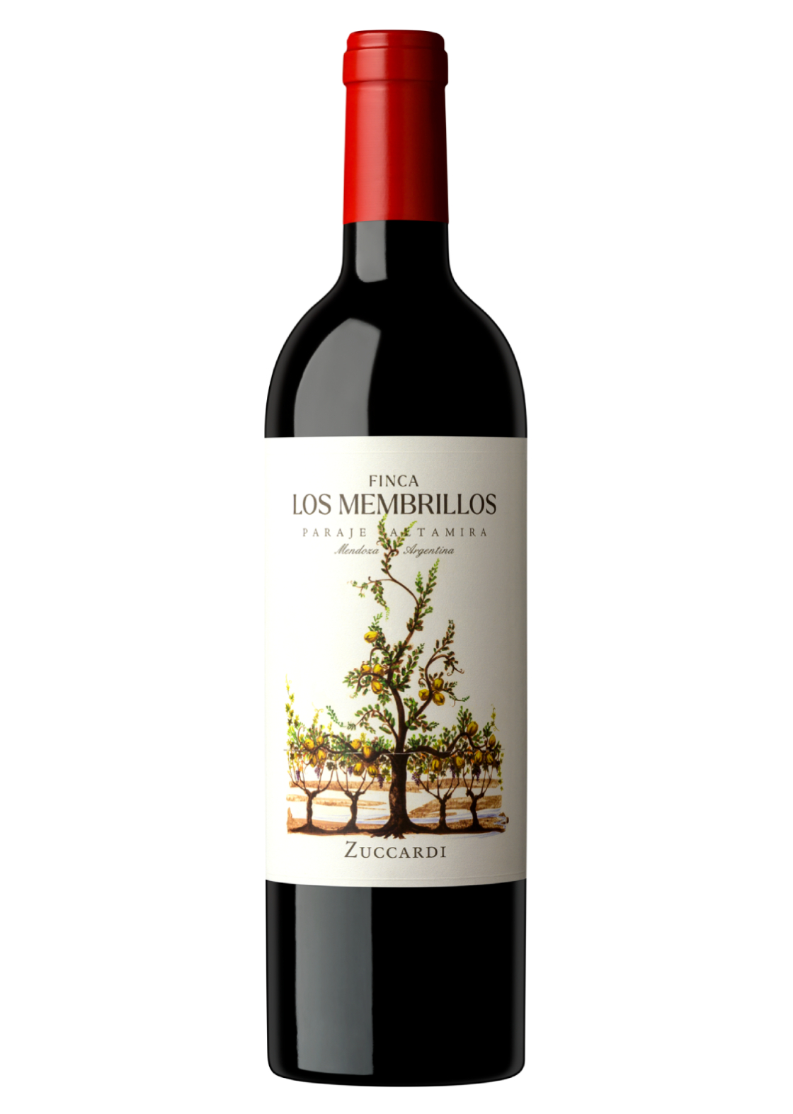 Zuccardi: Finca Los Membrillos Cabernet Sauvignon