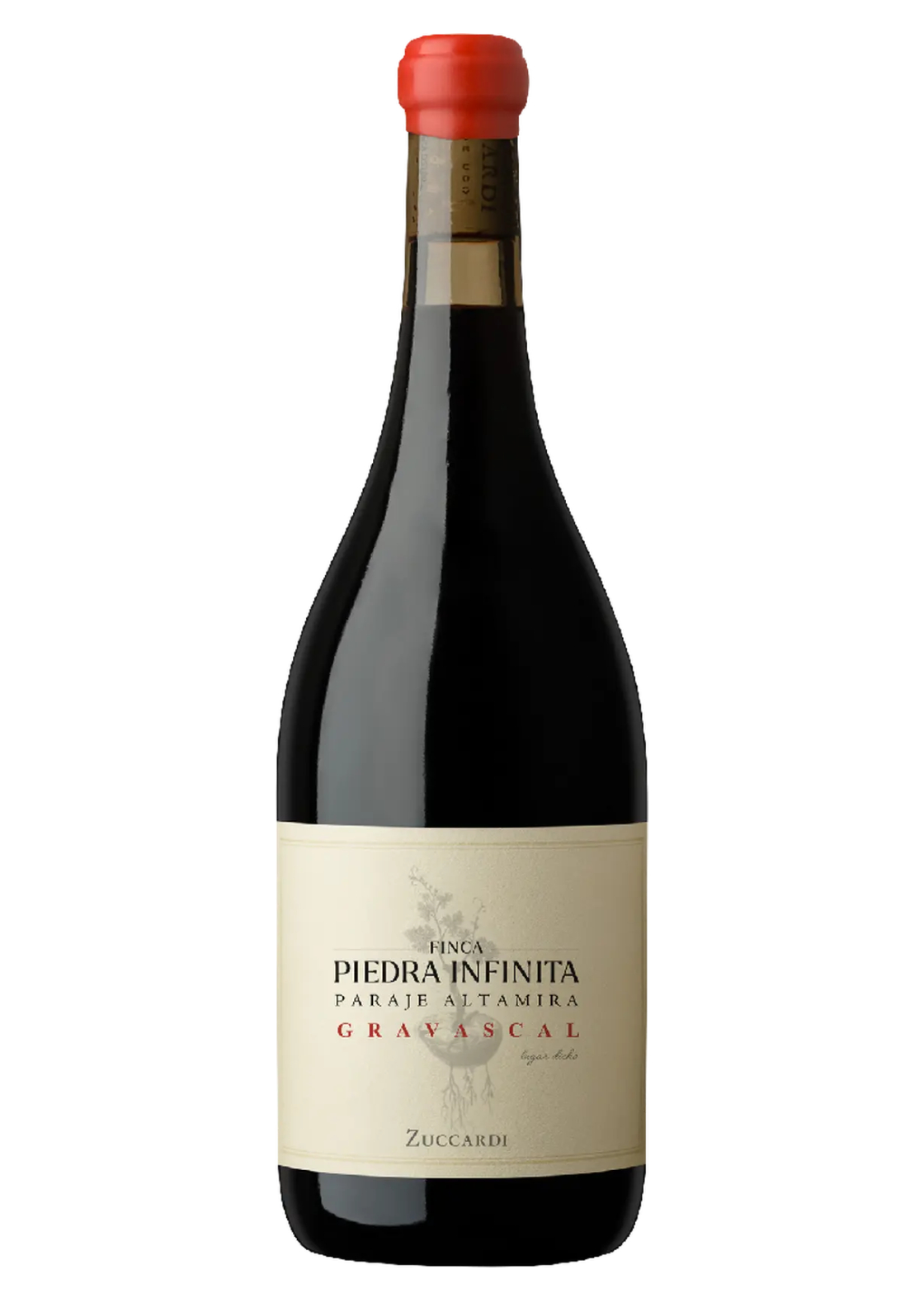 Zuccardi: Finca Piedra Infinita Gravascal