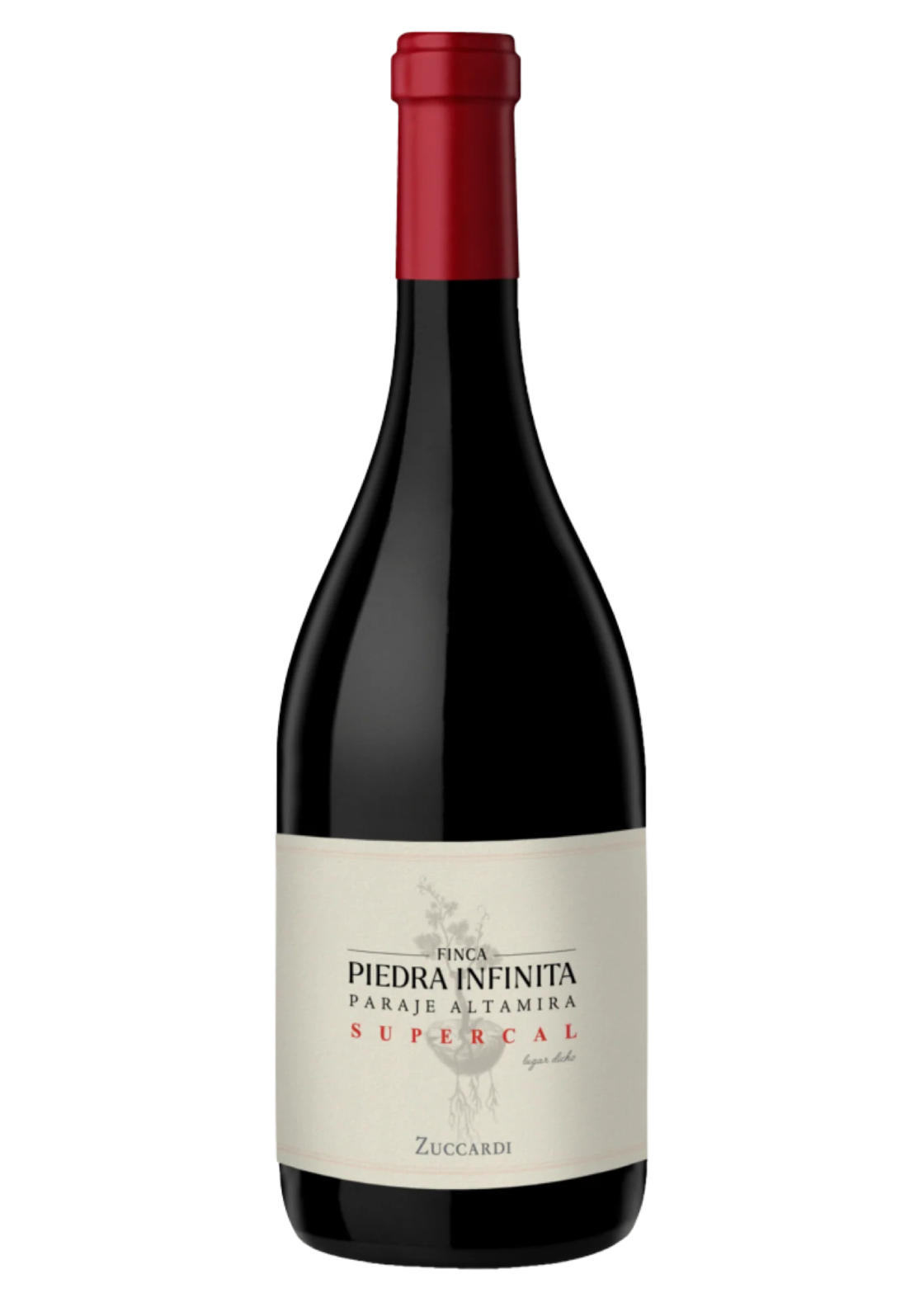 Zuccardi: Finca Piedra Infinita Supercal