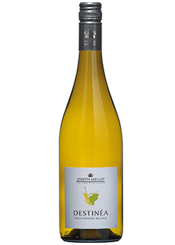 Joseph Mellot: Destinéa Sauvignon Blanc Joseph Mellot: Destinéa Sauvignon Blanc