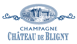 Château de Bligny
