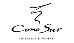Cono Sur